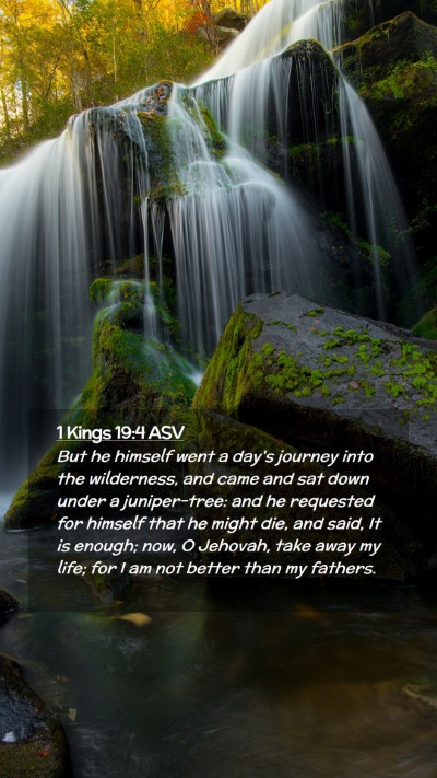 Picture 02 - 1 Kings 19:4 ASV Mobile Phone Wallpaper - But he himself went a day's journey into the - Mobile Bible Verse Wallpaper