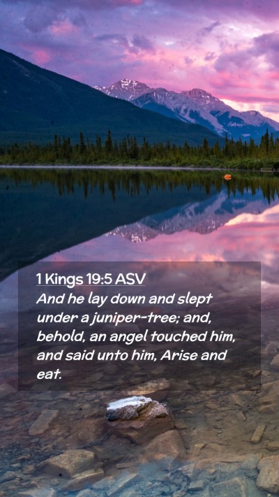 Picture 02 - 1 Kings 19:5 ASV Mobile Phone Wallpaper - And he lay down and slept under a juniper-tree; - Mobile Bible Verse Wallpaper