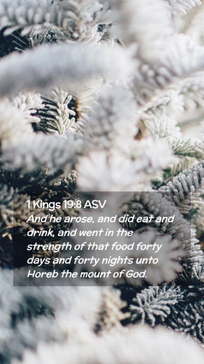 Picture 02 - 1 Kings 19:8 ASV Mobile Phone Wallpaper - And he arose, and did eat and drink, and went in - Mobile Bible Verse Wallpaper