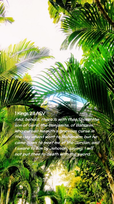 Picture 02 - 1 Kings 2:8 ASV Mobile Phone Wallpaper - And, behold, there is with thee Shimei the son of - Mobile Bible Verse Wallpaper
