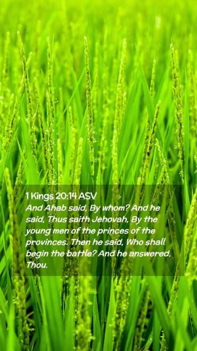 Picture 02 - 1 Kings 20:14 ASV Mobile Phone Wallpaper - And Ahab said, By whom? And he said, Thus saith - Mobile Bible Verse Wallpaper