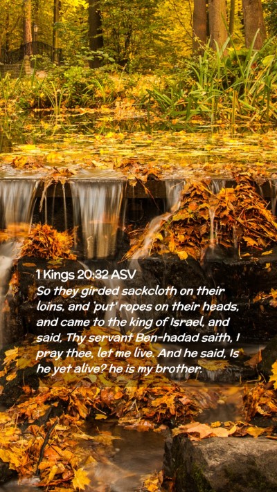 Picture 02 - 1 Kings 20:32 ASV Mobile Phone Wallpaper - So they girded sackcloth on their loins, and - Mobile Bible Verse Wallpaper