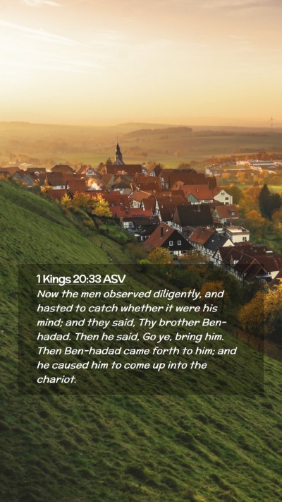 Picture 02 - 1 Kings 20:33 ASV Mobile Phone Wallpaper - Now the men observed diligently, and hasted to - Mobile Bible Verse Wallpaper