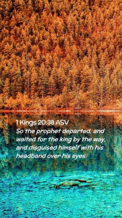 Picture 02 - 1 Kings 20:38 ASV Mobile Phone Wallpaper - So the prophet departed, and waited for the king - Mobile Bible Verse Wallpaper