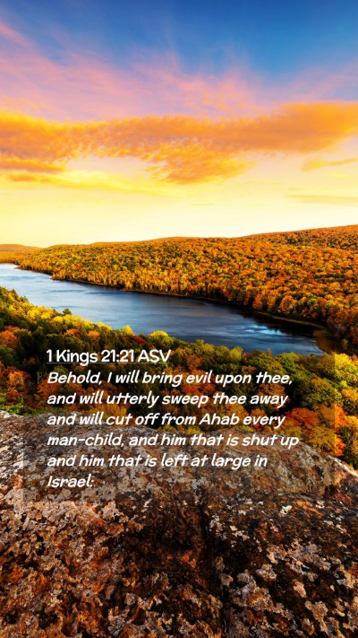 Picture 02 - 1 Kings 21:21 ASV Mobile Phone Wallpaper - Behold, I will bring evil upon thee, and will - Mobile Bible Verse Wallpaper