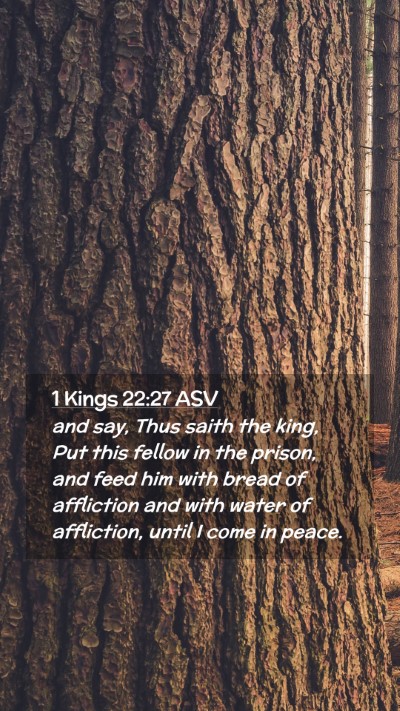 Picture 02 - 1 Kings 22:27 ASV Mobile Phone Wallpaper - and say, Thus saith the king, Put this fellow in - Mobile Bible Verse Wallpaper