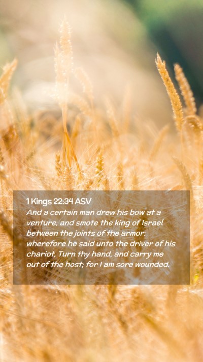 Picture 02 - 1 Kings 22:34 ASV Mobile Phone Wallpaper - And a certain man drew his bow at a venture, and - Mobile Bible Verse Wallpaper