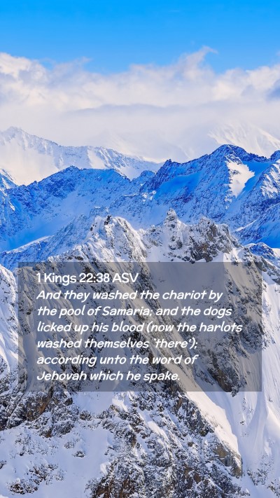 Picture 02 - 1 Kings 22:38 ASV Mobile Phone Wallpaper - And they washed the chariot by the pool of - Mobile Bible Verse Wallpaper