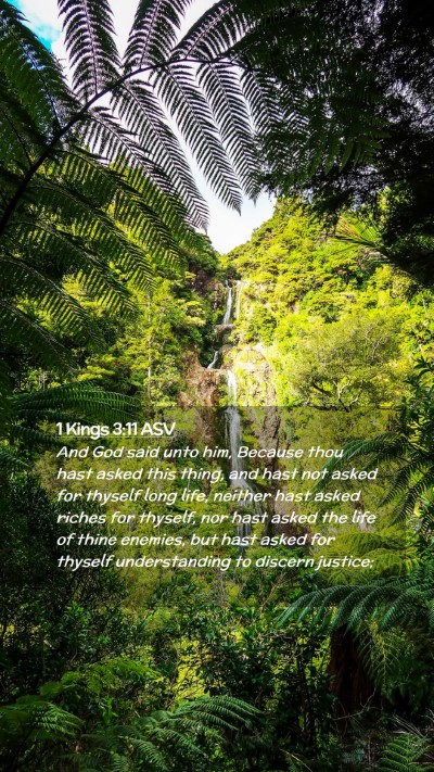 Picture 02 - 1 Kings 3:11 ASV Mobile Phone Wallpaper - And God said unto him, Because thou hast asked - Mobile Bible Verse Wallpaper