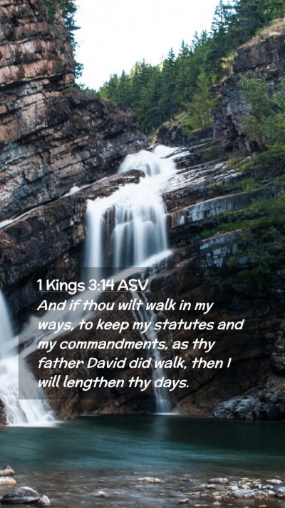 Picture 02 - 1 Kings 3:14 ASV Mobile Phone Wallpaper - And if thou wilt walk in my ways, to keep my - Mobile Bible Verse Wallpaper