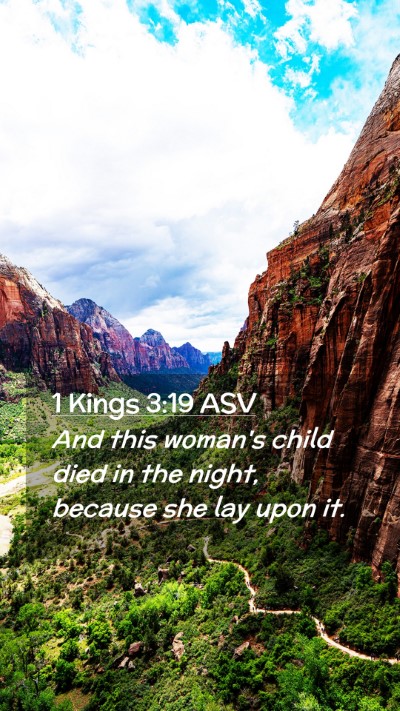 Picture 02 - 1 Kings 3:19 ASV Mobile Phone Wallpaper - And this woman's child died in the night, because - Mobile Bible Verse Wallpaper