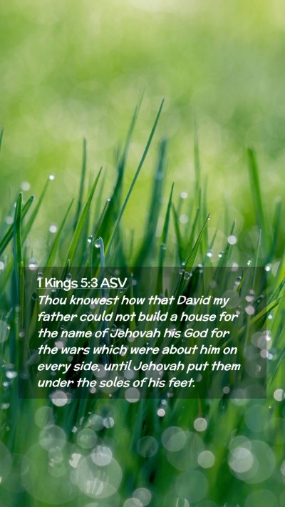 Picture 02 - 1 Kings 5:3 ASV Mobile Phone Wallpaper - Thou knowest how that David my father could not - Mobile Bible Verse Wallpaper