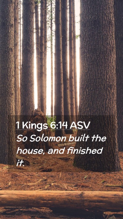 Picture 02 - 1 Kings 6:14 ASV Mobile Phone Wallpaper - So Solomon built the house, and finished - Mobile Bible Verse Wallpaper