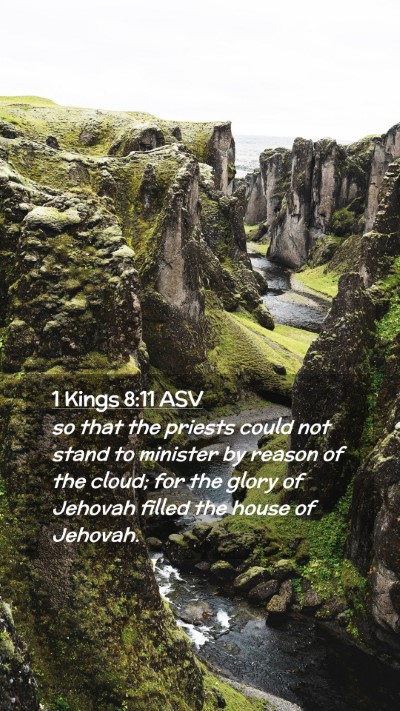 Picture 02 - 1 Kings 8:11 ASV Mobile Phone Wallpaper - so that the priests could not stand to minister - Mobile Bible Verse Wallpaper