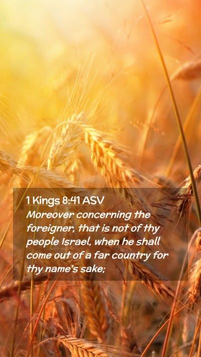 Picture 02 - 1 Kings 8:41 ASV Mobile Phone Wallpaper - Moreover concerning the foreigner, that is not of - Mobile Bible Verse Wallpaper