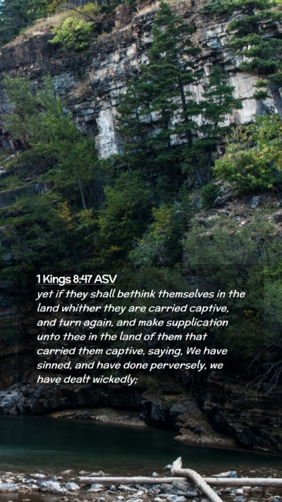 Picture 02 - 1 Kings 8:47 ASV Mobile Phone Wallpaper - yet if they shall bethink themselves in the land - Mobile Bible Verse Wallpaper