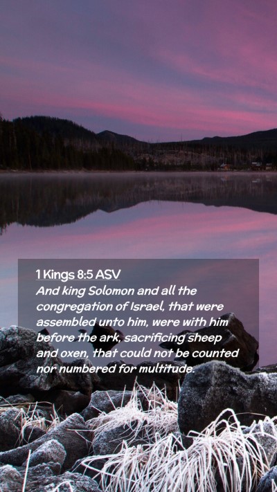 Picture 02 - 1 Kings 8:5 ASV Mobile Phone Wallpaper - And king Solomon and all the congregation of - Mobile Bible Verse Wallpaper