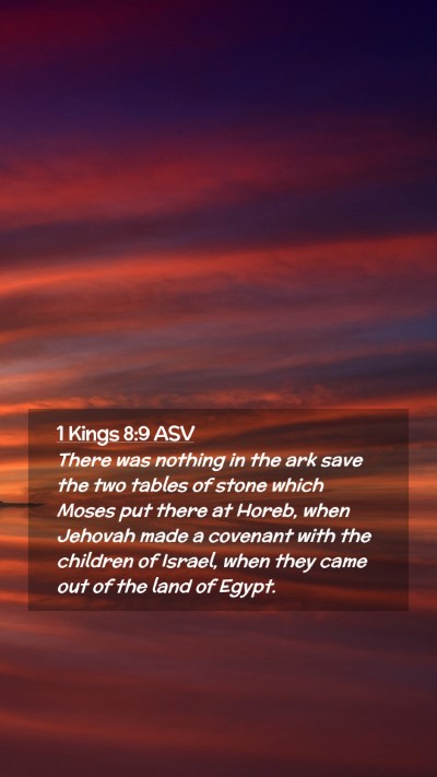 Picture 02 - 1 Kings 8:9 ASV Mobile Phone Wallpaper - There was nothing in the ark save the two tables - Mobile Bible Verse Wallpaper
