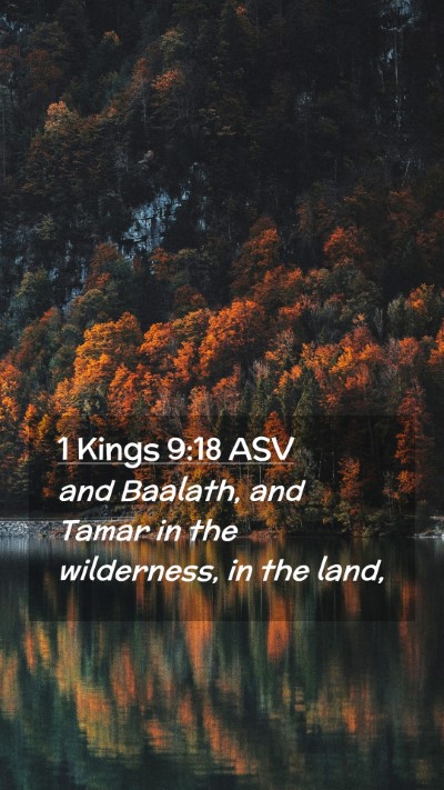 Picture 02 - 1 Kings 9:18 ASV Mobile Phone Wallpaper - and Baalath, and Tamar in the wilderness, in the - Mobile Bible Verse Wallpaper