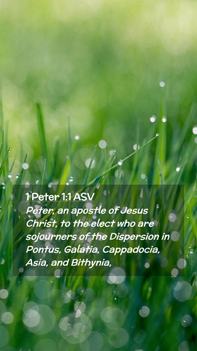 Picture 02 - 1 Peter 1:1 ASV Mobile Phone Wallpaper - Peter, an apostle of Jesus Christ, to the elect - Mobile Bible Verse Wallpaper
