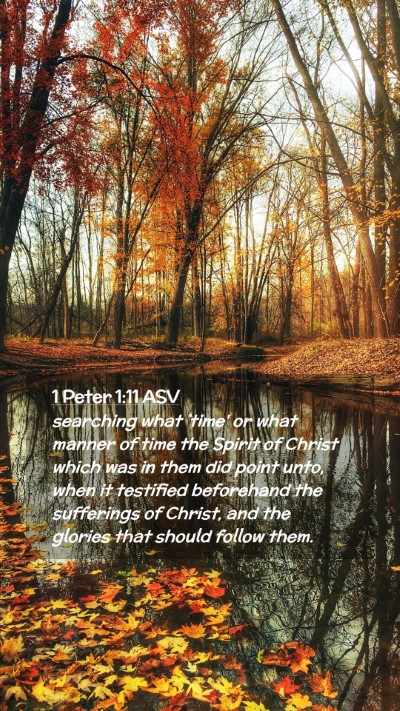 Picture 02 - 1 Peter 1:11 ASV Mobile Phone Wallpaper - searching what `time' or what manner of time the - Mobile Bible Verse Wallpaper