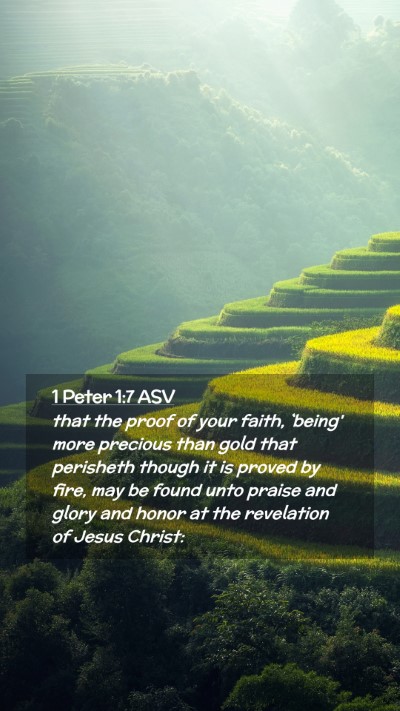 Picture 02 - 1 Peter 1:7 ASV Mobile Phone Wallpaper - that the proof of your faith, `being' more - Mobile Bible Verse Wallpaper