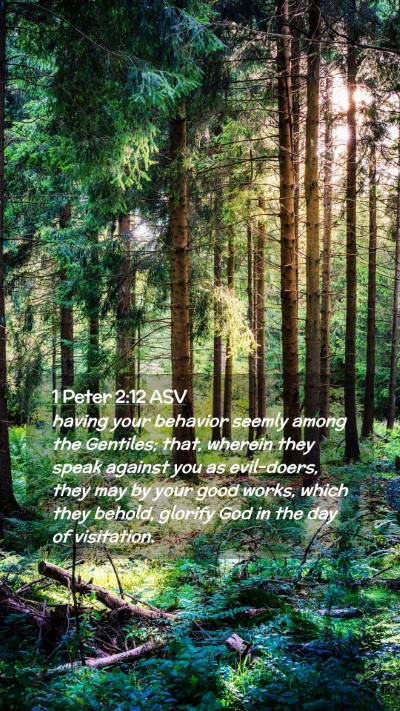 Picture 02 - 1 Peter 2:12 ASV Mobile Phone Wallpaper - having your behavior seemly among the Gentiles; - Mobile Bible Verse Wallpaper