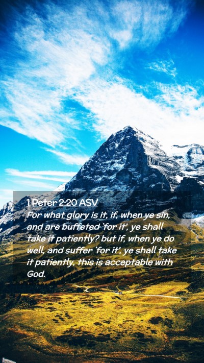 Picture 02 - 1 Peter 2:20 ASV Mobile Phone Wallpaper - For what glory is it, if, when ye sin, and are - Mobile Bible Verse Wallpaper