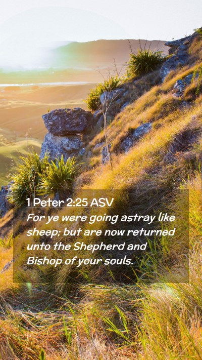 Picture 02 - 1 Peter 2:25 ASV Mobile Phone Wallpaper - For ye were going astray like sheep; but are now - Mobile Bible Verse Wallpaper