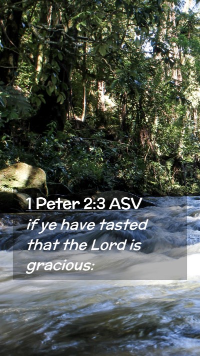 Picture 02 - 1 Peter 2:3 ASV Mobile Phone Wallpaper - if ye have tasted that the Lord is - Mobile Bible Verse Wallpaper