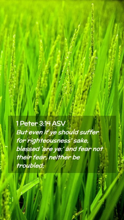 Picture 02 - 1 Peter 3:14 ASV Mobile Phone Wallpaper - But even if ye should suffer for righteousness' - Mobile Bible Verse Wallpaper