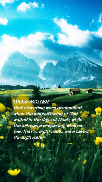 Picture 02 - 1 Peter 3:20 ASV Mobile Phone Wallpaper - that aforetime were disobedient, when the - Mobile Bible Verse Wallpaper