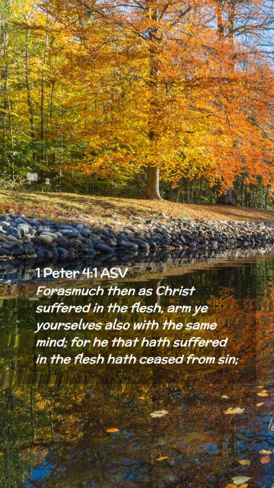 Picture 02 - 1 Peter 4:1 ASV Mobile Phone Wallpaper - Forasmuch then as Christ suffered in the flesh, - Mobile Bible Verse Wallpaper