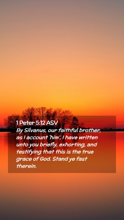 Picture 02 - 1 Peter 5:12 ASV Mobile Phone Wallpaper - By Silvanus, our faithful brother, as I account - Mobile Bible Verse Wallpaper