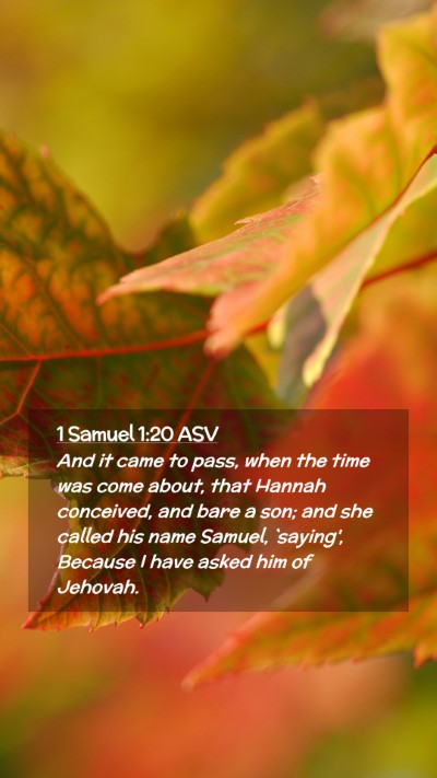 Picture 02 - 1 Samuel 1:20 ASV Mobile Phone Wallpaper - And it came to pass, when the time was come - Mobile Bible Verse Wallpaper