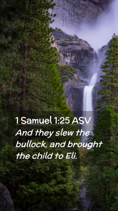 Picture 02 - 1 Samuel 1:25 ASV Mobile Phone Wallpaper - And they slew the bullock, and brought the child - Mobile Bible Verse Wallpaper