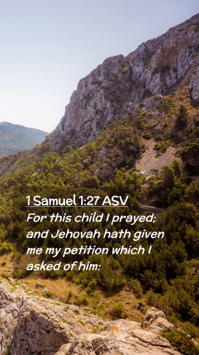 Picture 02 - 1 Samuel 1:27 ASV Mobile Phone Wallpaper - For this child I prayed; and Jehovah hath given - Mobile Bible Verse Wallpaper