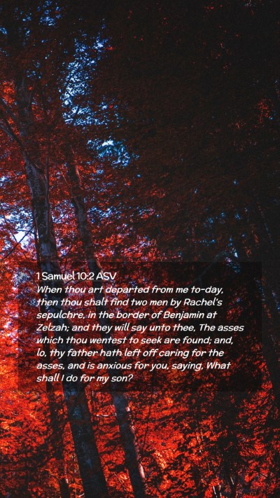 Picture 02 - 1 Samuel 10:2 ASV Mobile Phone Wallpaper - When thou art departed from me to-day, then thou - Mobile Bible Verse Wallpaper