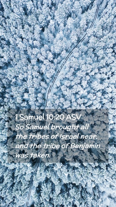 Picture 02 - 1 Samuel 10:20 ASV Mobile Phone Wallpaper - So Samuel brought all the tribes of Israel near, - Mobile Bible Verse Wallpaper
