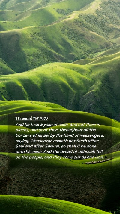 Picture 02 - 1 Samuel 11:7 ASV Mobile Phone Wallpaper - And he took a yoke of oxen, and cut them in - Mobile Bible Verse Wallpaper