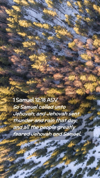 Picture 02 - 1 Samuel 12:18 ASV Mobile Phone Wallpaper - So Samuel called unto Jehovah; and Jehovah sent - Mobile Bible Verse Wallpaper