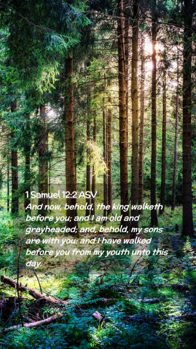 Picture 02 - 1 Samuel 12:2 ASV Mobile Phone Wallpaper - And now, behold, the king walketh before you; and - Mobile Bible Verse Wallpaper