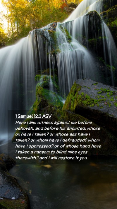 Picture 02 - 1 Samuel 12:3 ASV Mobile Phone Wallpaper - Here I am: witness against me before Jehovah, and - Mobile Bible Verse Wallpaper