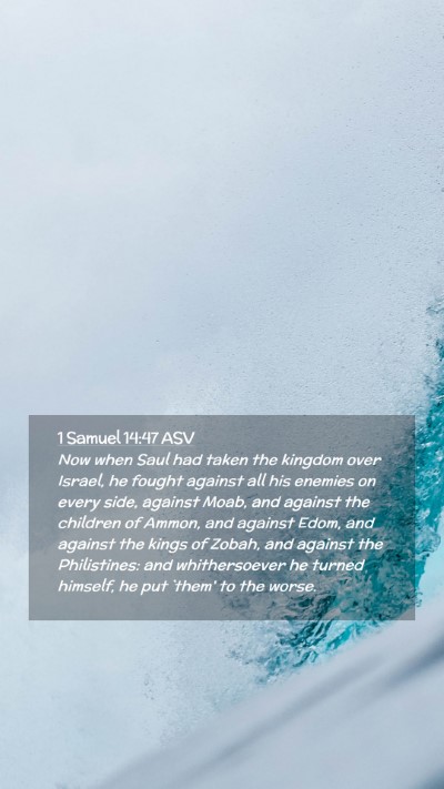 Picture 02 - 1 Samuel 14:47 ASV Mobile Phone Wallpaper - Now when Saul had taken the kingdom over Israel, - Mobile Bible Verse Wallpaper