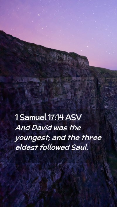 Picture 02 - 1 Samuel 17:14 ASV Mobile Phone Wallpaper - And David was the youngest; and the three eldest - Mobile Bible Verse Wallpaper