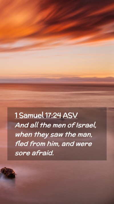 Picture 02 - 1 Samuel 17:24 ASV Mobile Phone Wallpaper - And all the men of Israel, when they saw the man, - Mobile Bible Verse Wallpaper