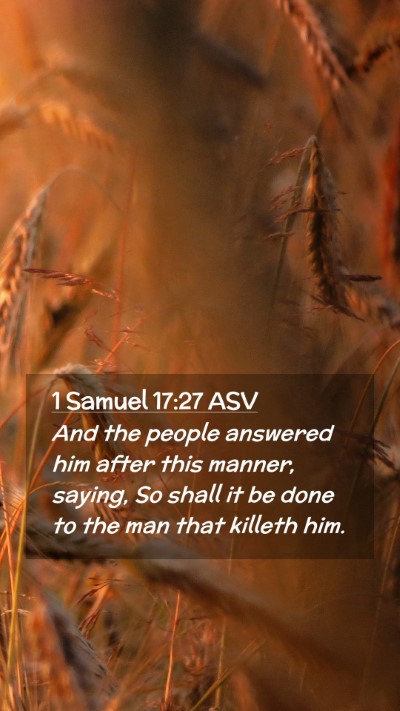 Picture 02 - 1 Samuel 17:27 ASV Mobile Phone Wallpaper - And the people answered him after this manner, - Mobile Bible Verse Wallpaper