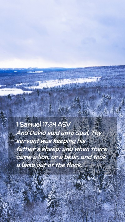 Picture 02 - 1 Samuel 17:34 ASV Mobile Phone Wallpaper - And David said unto Saul, Thy servant was keeping - Mobile Bible Verse Wallpaper