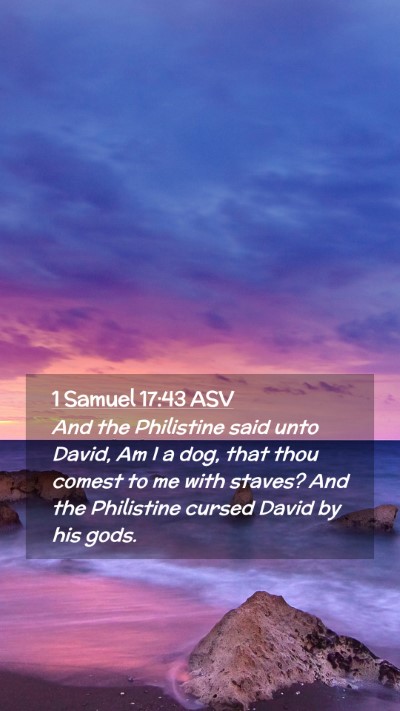 Picture 02 - 1 Samuel 17:43 ASV Mobile Phone Wallpaper - And the Philistine said unto David, Am I a dog, - Mobile Bible Verse Wallpaper
