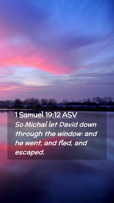 Picture 02 - 1 Samuel 19:12 ASV Mobile Phone Wallpaper - So Michal let David down through the window: and - Mobile Bible Verse Wallpaper